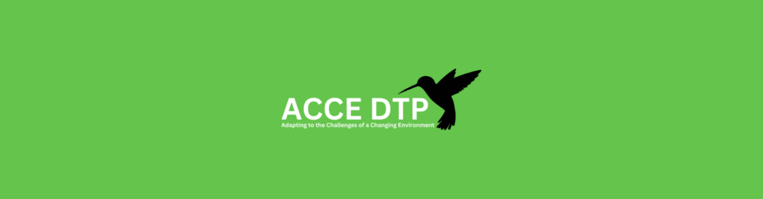 Green banner that reads ACCE DTP next to the silhouette of a hummingbird
